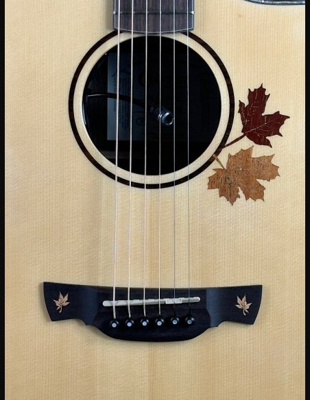 Crafter AL G-1000 CE c/HC-DG Natural Chitarra Folk Elettrificata