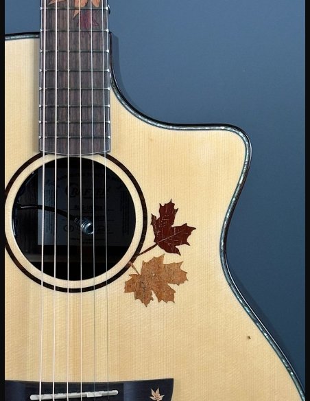 Crafter AL G-1000 CE c/HC-DG Natural Chitarra Folk Elettrificata