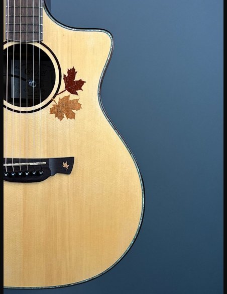 Crafter AL G-1000 CE c/HC-DG Natural Chitarra Folk Elettrificata