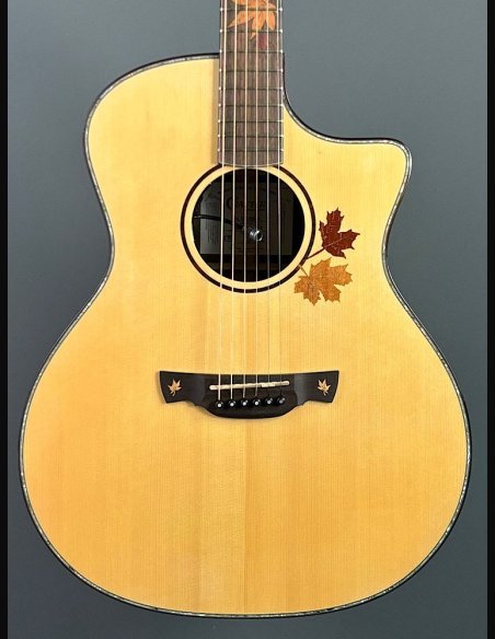 Crafter AL G-1000 CE c/HC-DG Natural Chitarra Folk Elettrificata