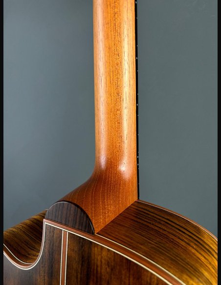 Lakewood M18CP Chitarra Folk Elettrificata