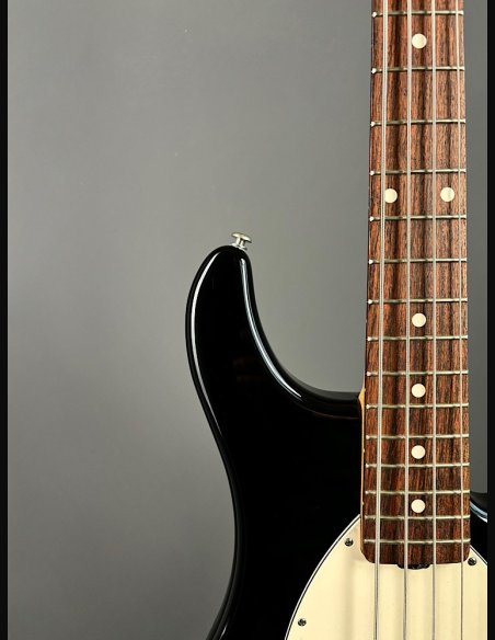 Music Man Sterling Black Rosewood Fingerboard White Pickguard