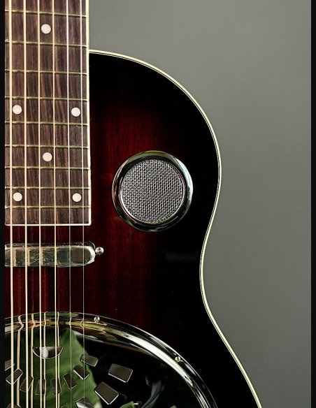 Johnson JR-850E SB Resofonica Wood Elettrificata