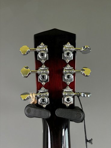 Johnson JR-850E SB Resofonica Wood Elettrificata