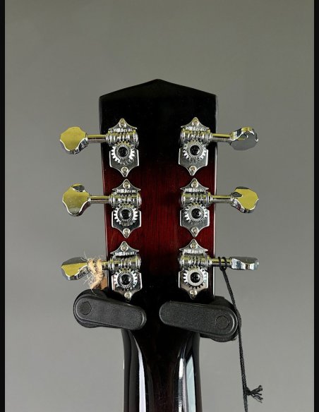 Johnson JR-850E SB Resofonica Wood Elettrificata