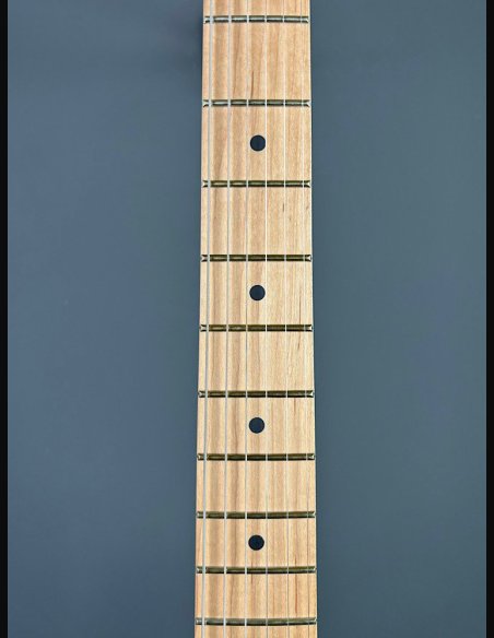 Reverend Greg Koch Gristle TBL SN.BGB#6288