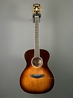 D'Angelico Excel Tammany Autumn Burst 2