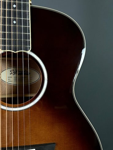 D'Angelico Excel Tammany Autumn Burst