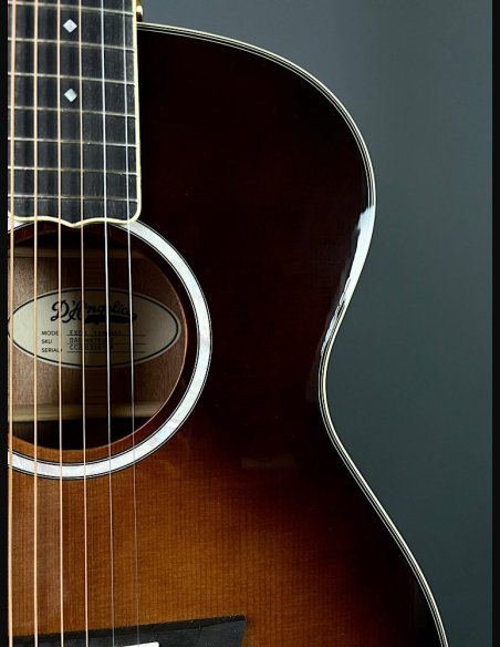 D'Angelico Excel Tammany Autumn Burst