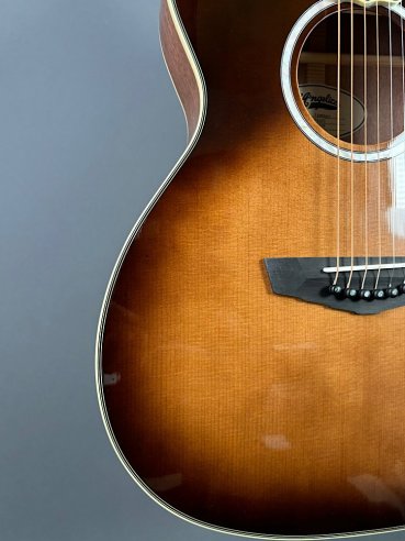 D'Angelico Excel Tammany Autumn Burst