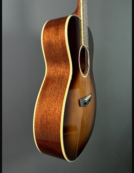 D'Angelico Excel Tammany Autumn Burst