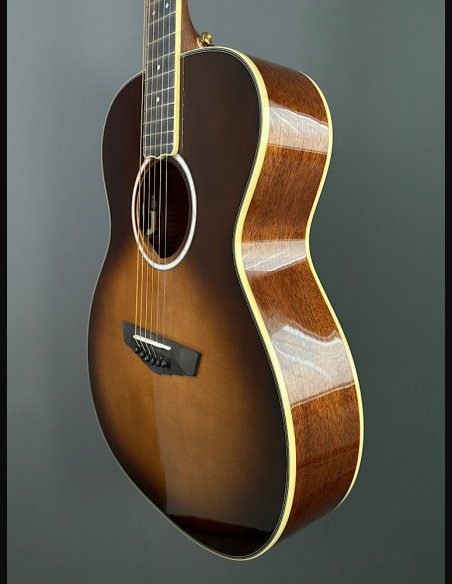 D'Angelico Excel Tammany Autumn Burst