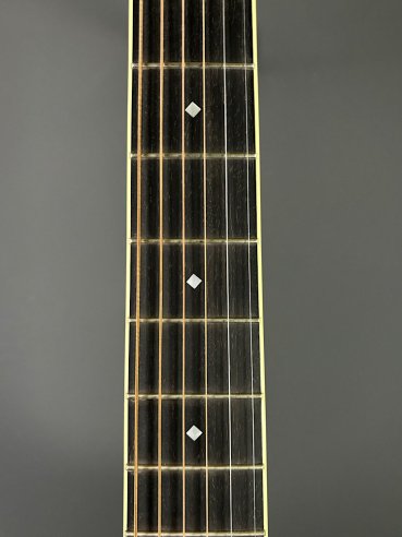 D'Angelico Excel Tammany Autumn Burst