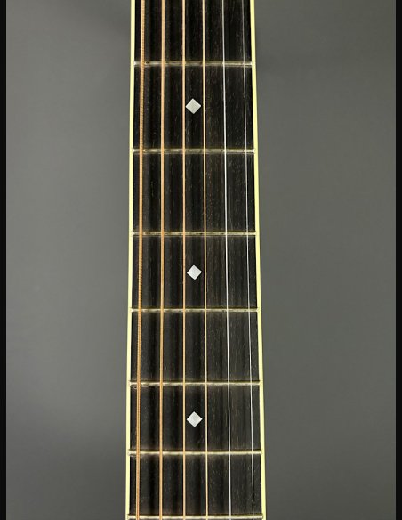 D'Angelico Excel Tammany Autumn Burst