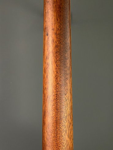 D'Angelico Excel Tammany Autumn Burst