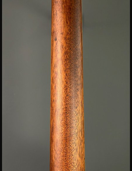 D'Angelico Excel Tammany Autumn Burst