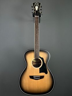 D'Angelico Premier Tammany Aged Burst 2