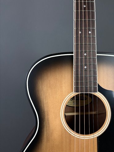 D'Angelico Premier Tammany Aged Burst