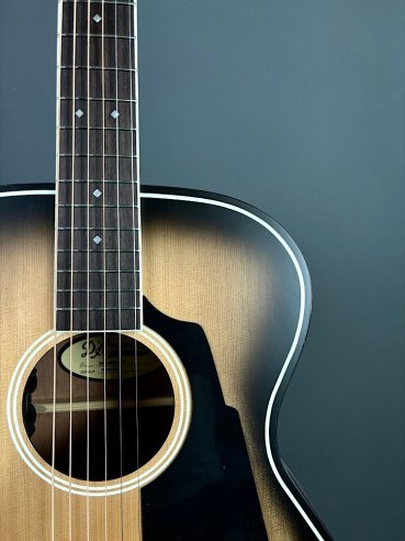 D'Angelico Premier Tammany Aged Burst