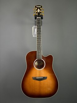 D'Angelico Excel Bowery Autumn Burst 2