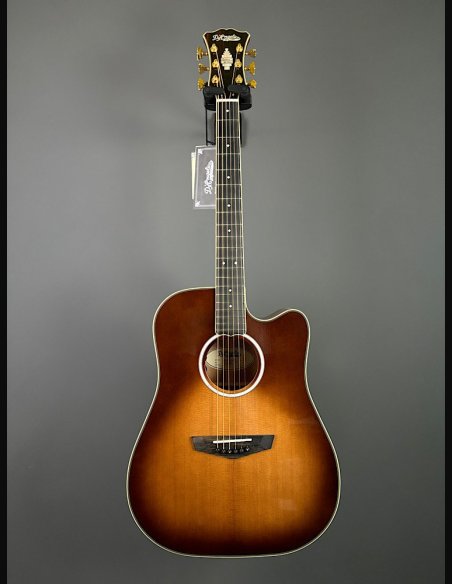 D'Angelico Excel Bowery Autumn Burst