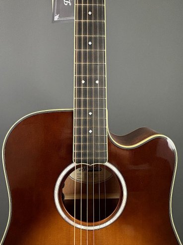 D'Angelico Excel Bowery Autumn Burst