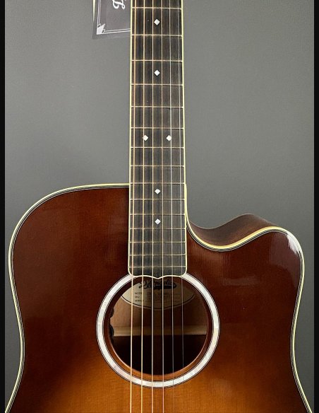 D'Angelico Excel Bowery Autumn Burst