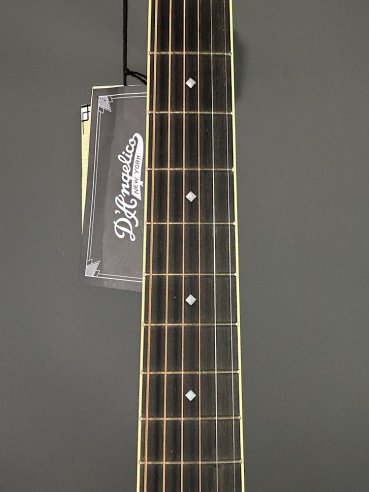 D'Angelico Excel Bowery Autumn Burst