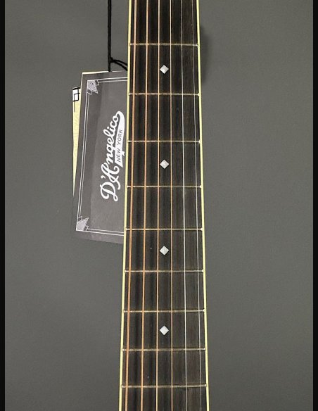 D'Angelico Excel Bowery Autumn Burst