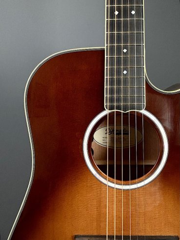 D'Angelico Excel Bowery Autumn Burst