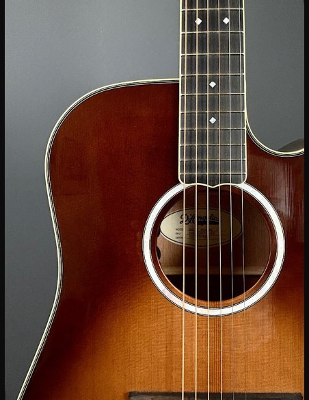 D'Angelico Excel Bowery Autumn Burst