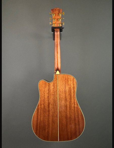 D'Angelico Excel Bowery Autumn Burst