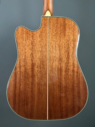 D'Angelico Excel Bowery Autumn Burst