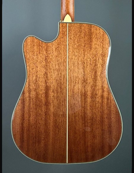 D'Angelico Excel Bowery Autumn Burst