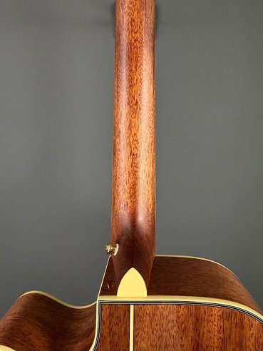 D'Angelico Excel Bowery Autumn Burst