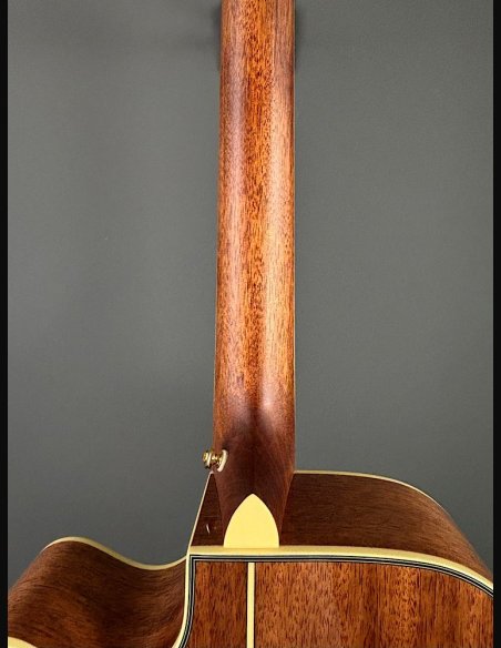 D'Angelico Excel Bowery Autumn Burst