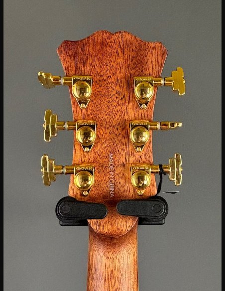 D'Angelico Excel Bowery Autumn Burst