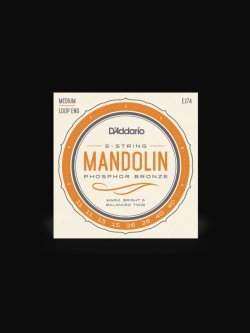 D'Addario EJ74 Muta Mandolino