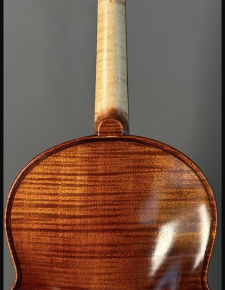 Tartini D-78 Violino