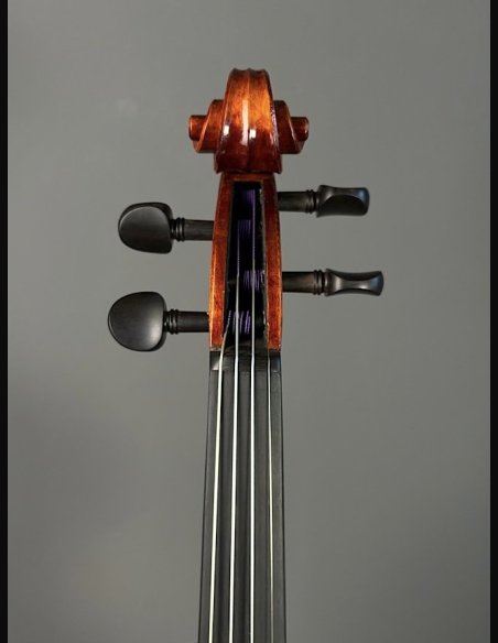 Tartini D-78 Violino