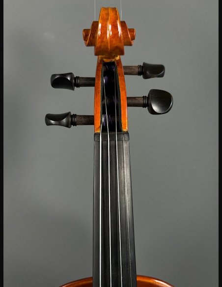 Luthier Assolo Violino 4/4