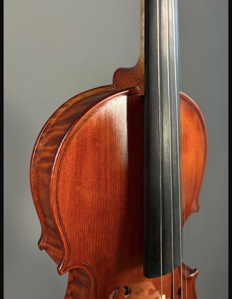 Tartini D-112 Violino