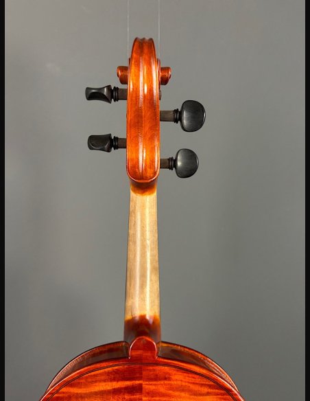 Tartini D-112 Violino