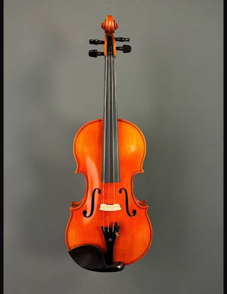 Tartini D-77 Violino
