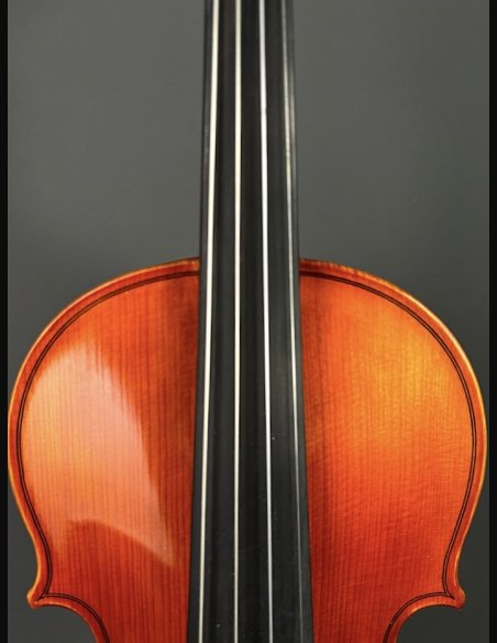 Tartini D-77 Violino
