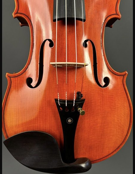 Tartini D-77 Violino