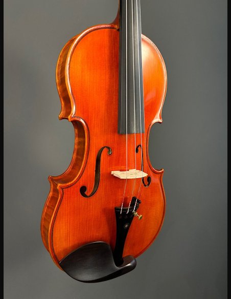 Tartini D-77 Violino