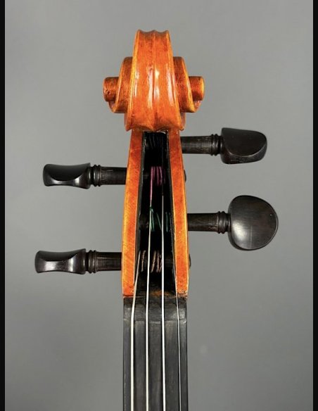 Tartini D-77 Violino