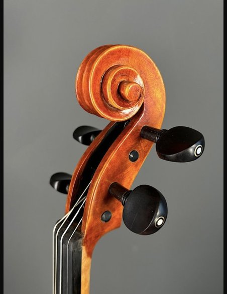 Tartini D-77 Violino