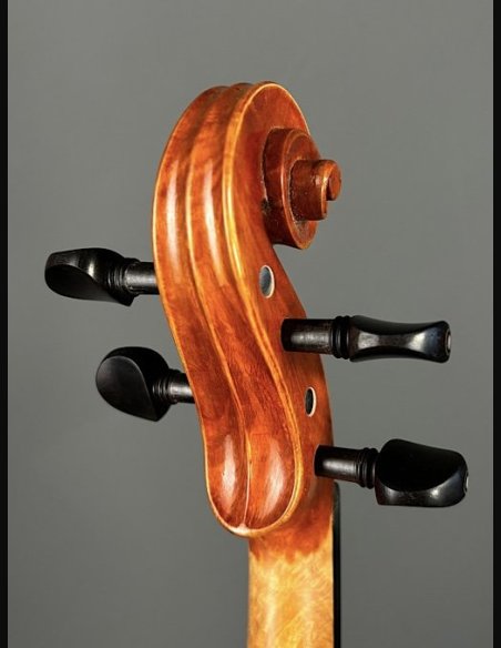 Tartini D-77 Violino